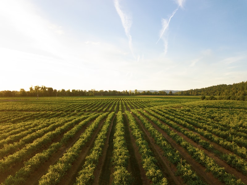 Agriculture System